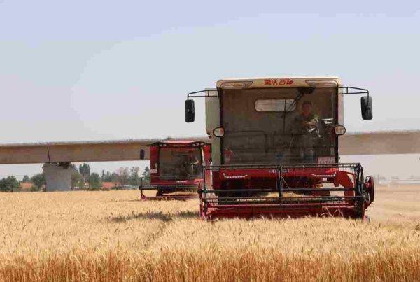 兴启网 山东潍坊寒亭区做实富民强村文章